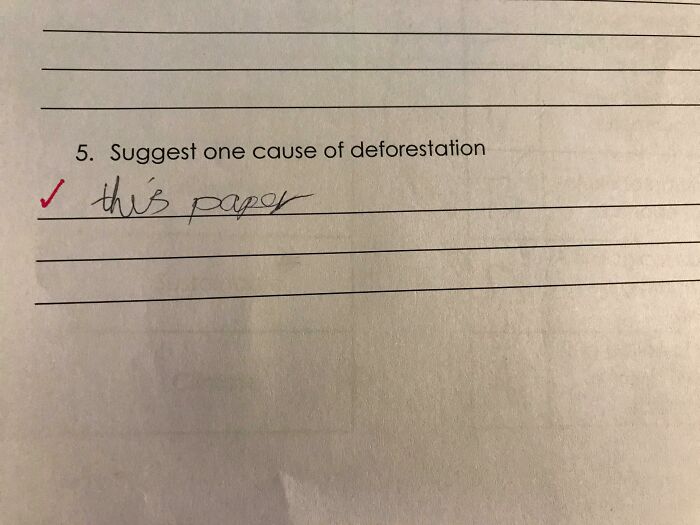 My Wife Is A Teacher And Found This While Marking An Assessment