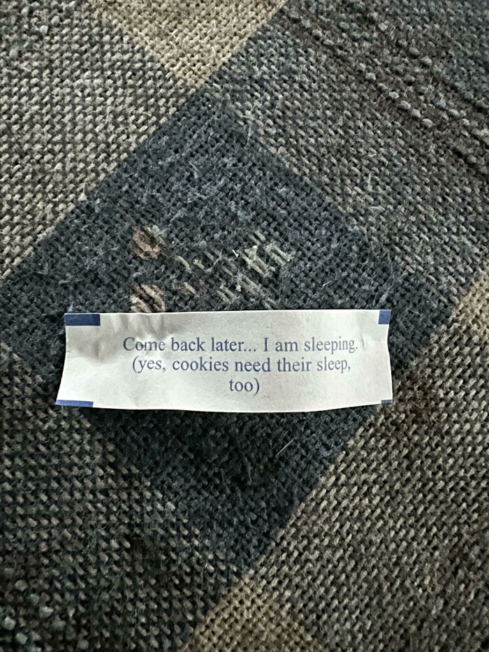 My Fortune Cookie Has Jokes