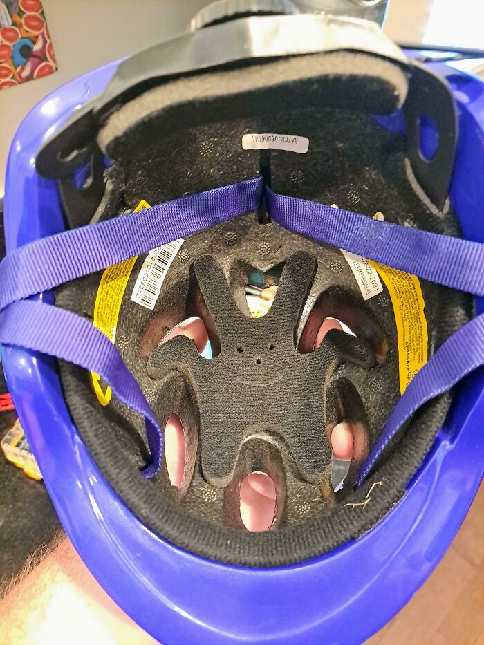 Schwinn Children's Bicycle Helmet