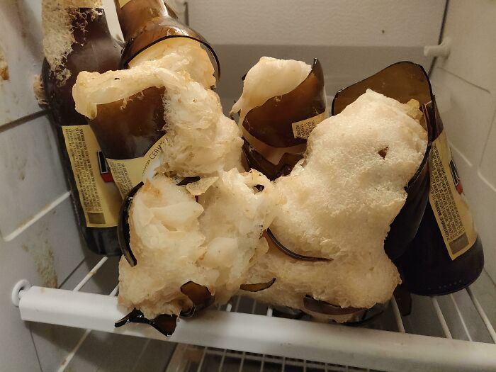 "Friend" Put Some Beers In My Freezer And Forgot About Them