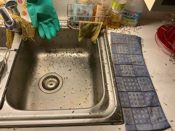A Family Member Forgot To Turn Off The Sink Light Overnight