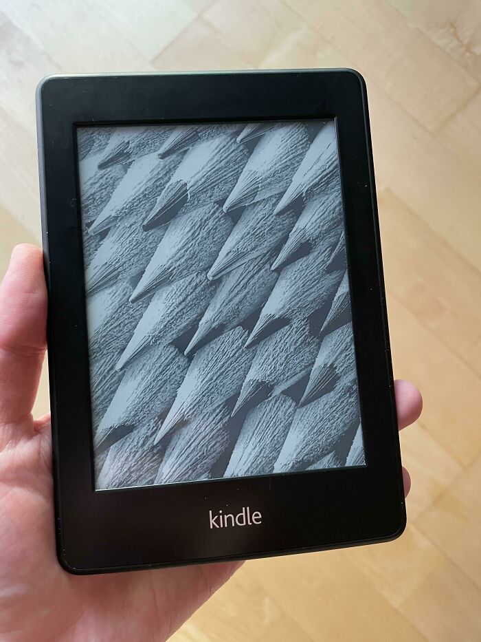 I’ve Had This Amazon Kindle Paperwhite For 10 Years Now – No Issues, Still Supported & Works Well