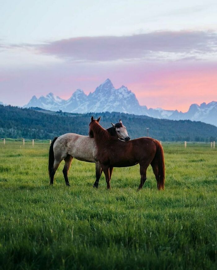 Happy Valentine’s Day In The Grand Tetons