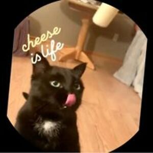 lorynrenee0110 avatar