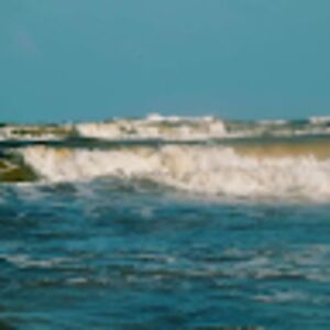 paulamiller_2 avatar