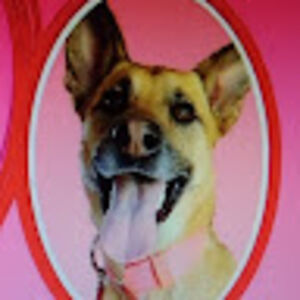 davidgabbysdaddyjackson avatar