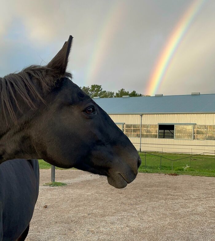 Fernie Posing With The Double Rainbows This Morning