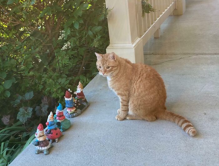  When I See Arfur Hanging With The Gnomes, It Helps Me Chill