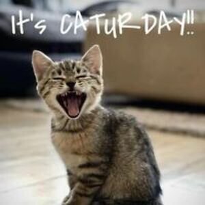 nickersonkathy1957 avatar