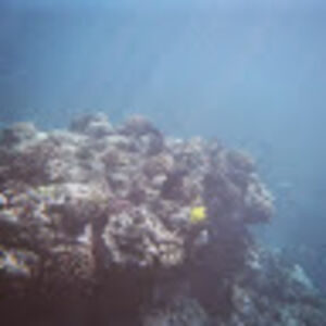 matthewstewart_1 avatar