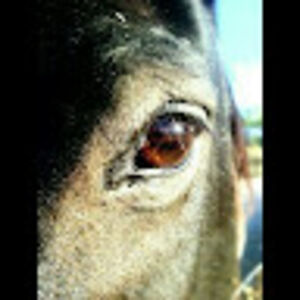 ashleyburkett avatar