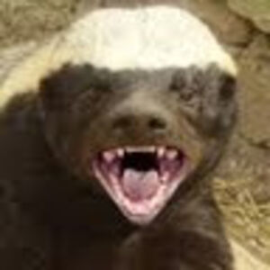 williamramthun avatar