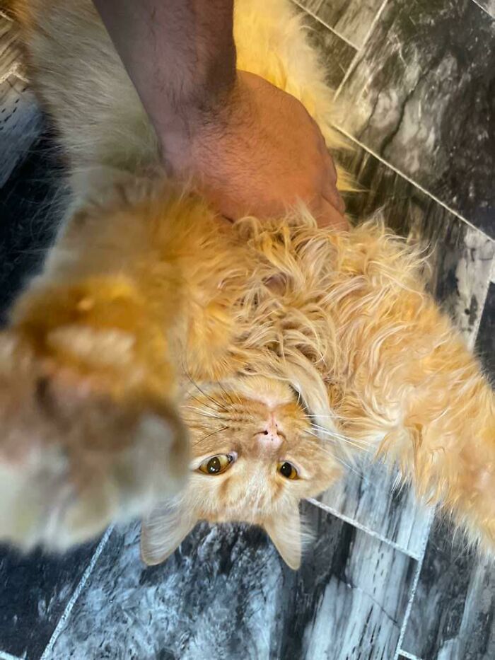 Here Is My Handsome BB Boy, Sunny