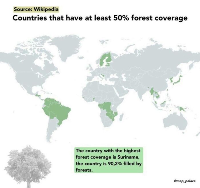 Countries That Have At Least 50% Forest Coverage