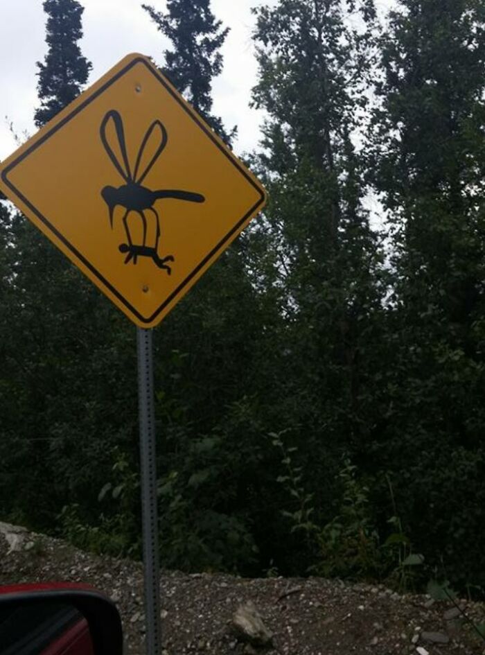 An Actual Road Sign My Sister Found In Alaska
