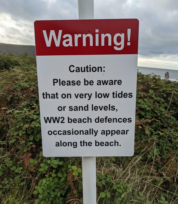 Found This Whilst Walking Along A Beach In North Devon