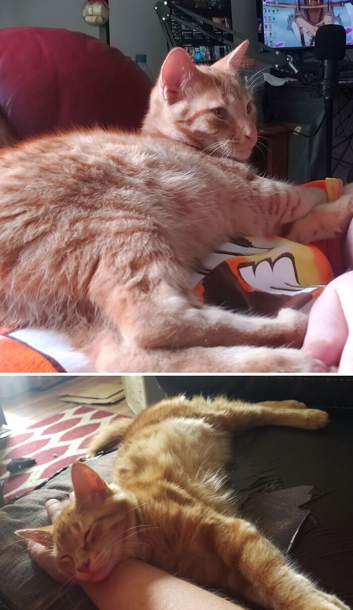 Here's A Pic Of My Boys