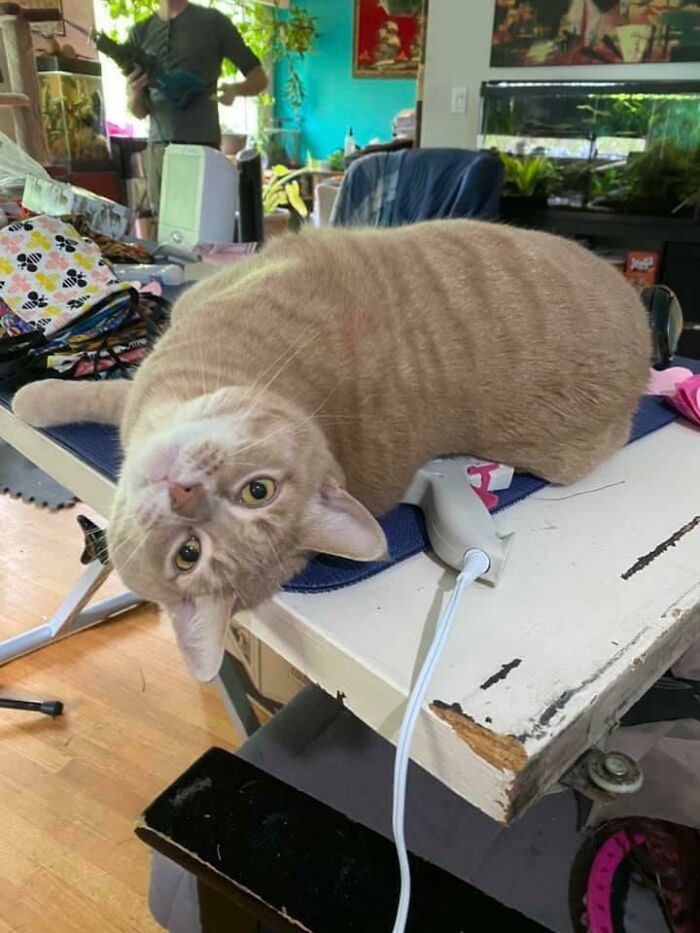 Hello, I See You’re Working… Attention Now