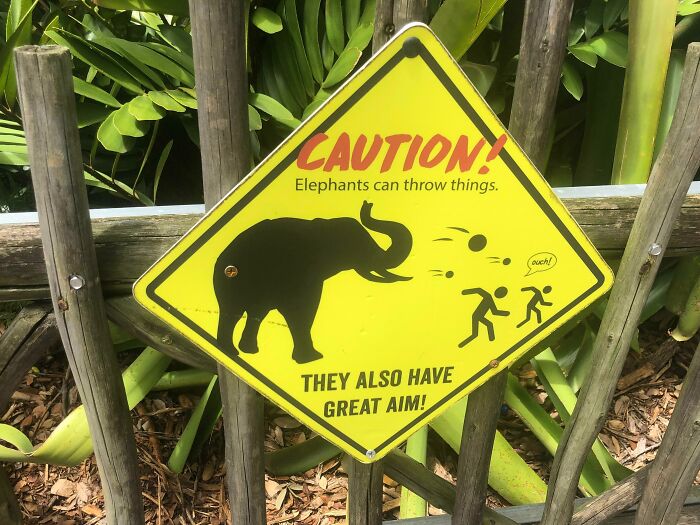 Found This Gem At The Zoo In Miami