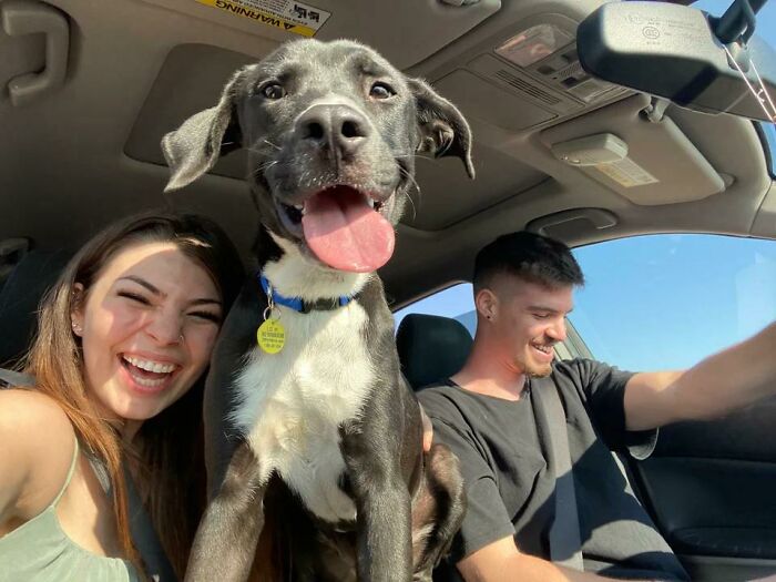 He Got Adopted