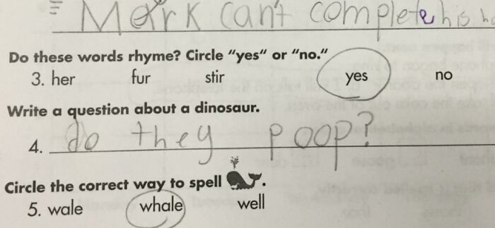 funny exam answers papers