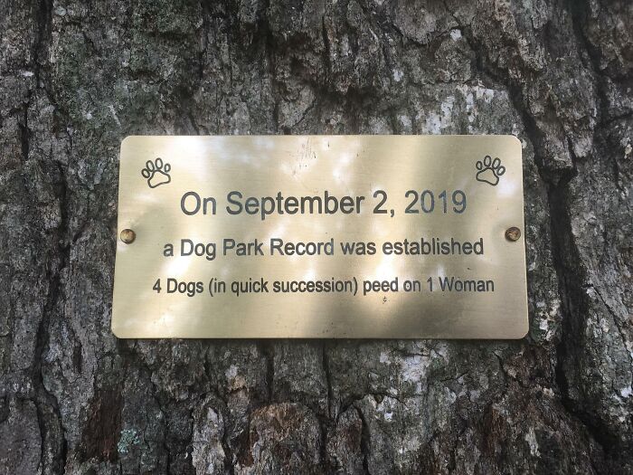 This Plaque At The Dog Park Commemorating A Park Record