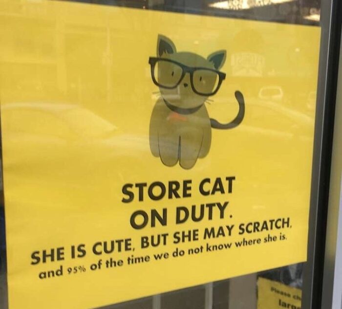 My Favorite Bookstore Has A Cat. They Now Have A Sign For The Cat