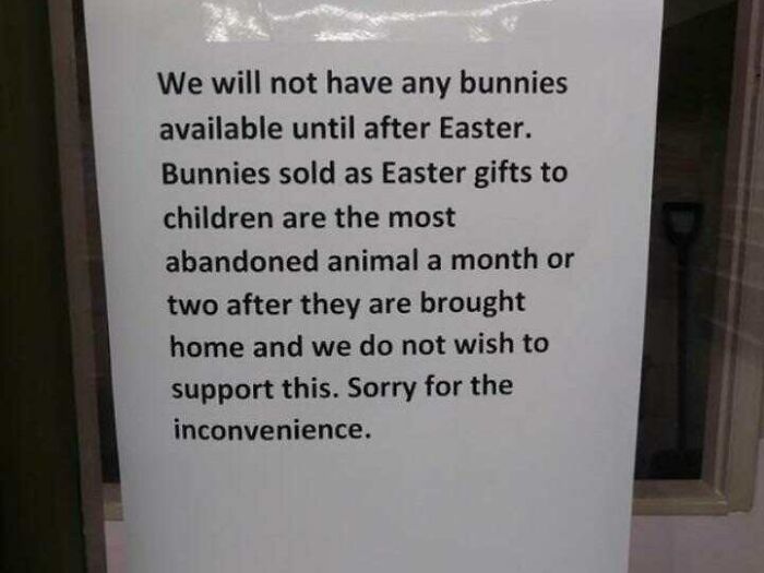 This Pet Store Won't Sell Bunnies Until After Easter
