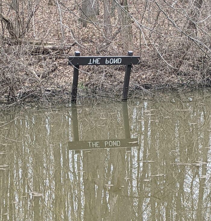This Sign At A Local Nature Preserve Has The Words Inverted So You Can Read It In The Water