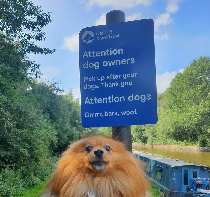 This Sign Is Translated For Dogs
