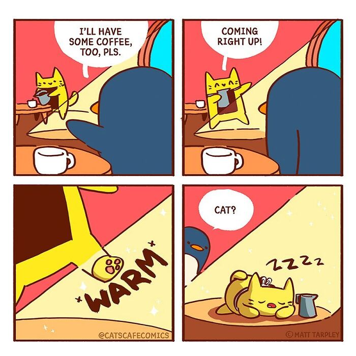 The Wholesome “Cat’s Café” Comics Will Warm Your Heart ( New Pics)