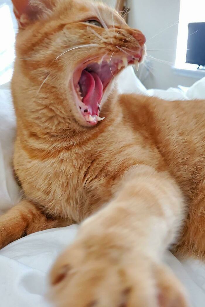 Finally, Time To Sleep In