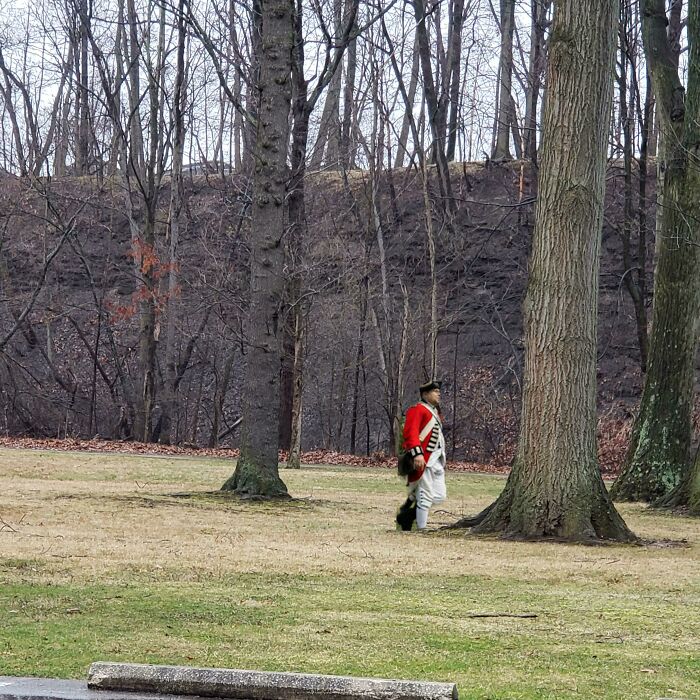 ¡Increíble! Luego de menos de 24 horas en las que Ohio ordenó quedarse en casa, los soldados británicos de la Guerra Revolucionaria comenzaron a regresar a Cleveland. ¡La naturaleza es muy resiliente!