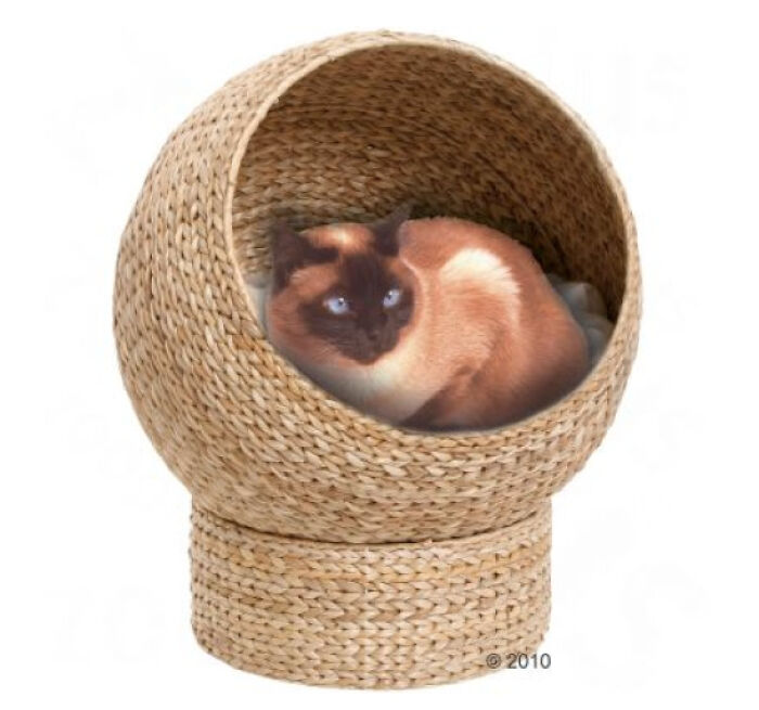 Found This While I Was Browsing For Cat Beds