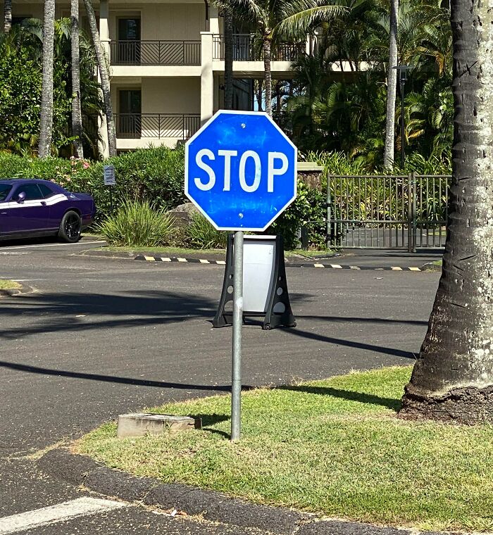 I Found A Blue Stop Sign. That Is All