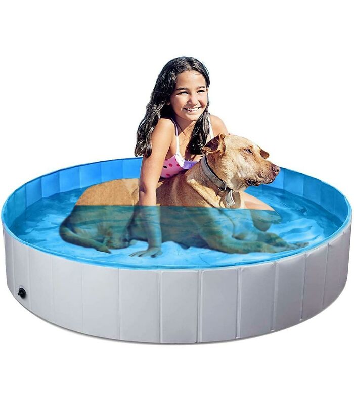 Es solo una chica yendo a nadar junto a su perro