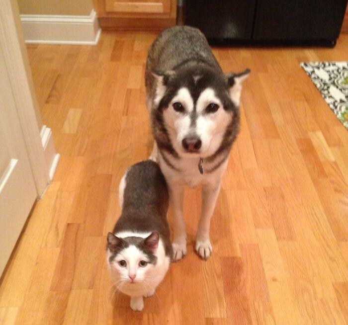 Brother From Another Mother