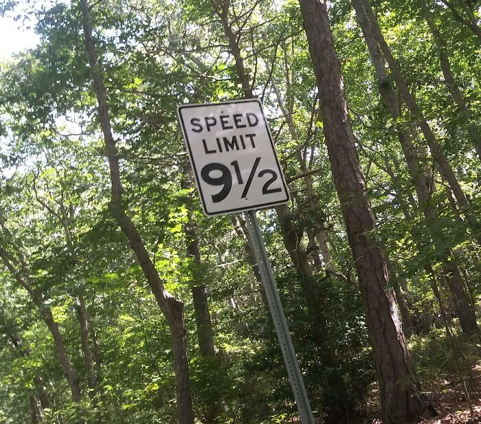 I Saw The 12mph Speed Limit Sign, But Never The 9 1/2mph Sign