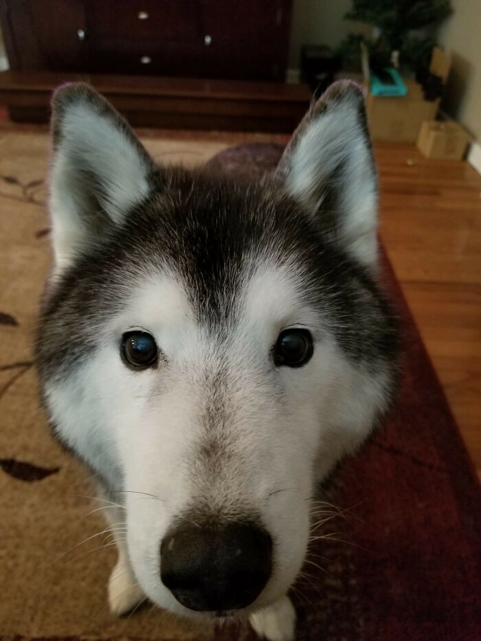 Max Came Into My Life When I Was 7. Im 23 And In Grad School Now