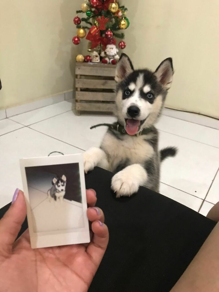 Hi, Everyone! Meet Logan