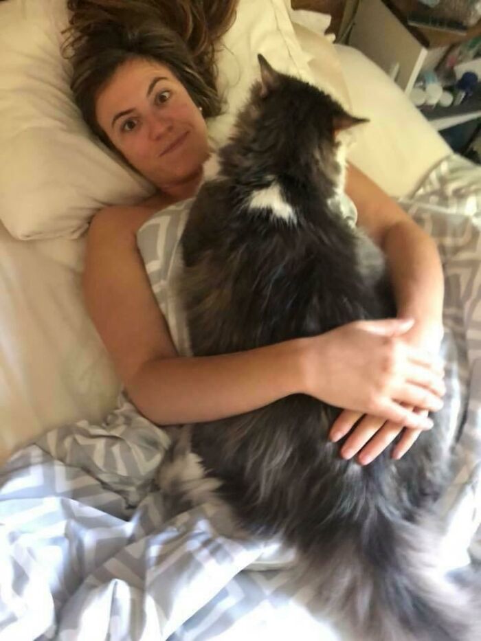 This Is How My Wife Is Greeted By Our 20lb Maine Coon Every Morning