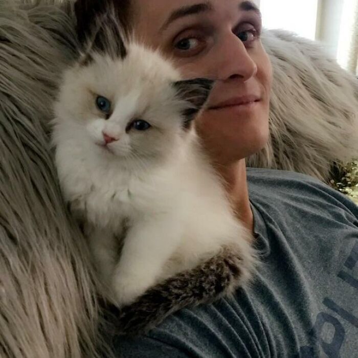 A person with a kitten on his shoulder