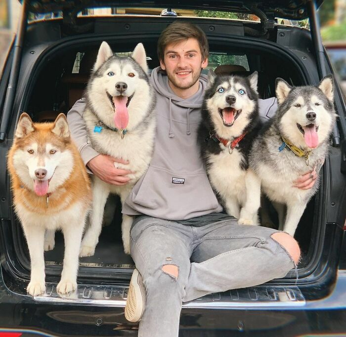 Need More Husky