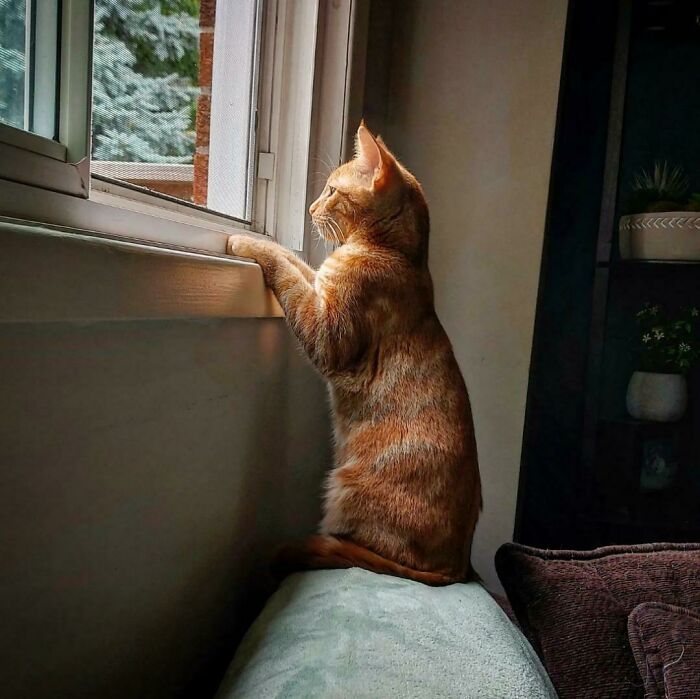 He Hasn't Moved In Over 20 Mins