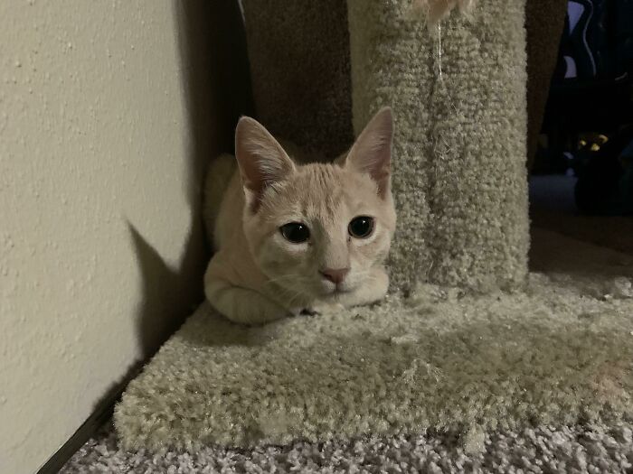 Welcome Baby Kyo To The Family