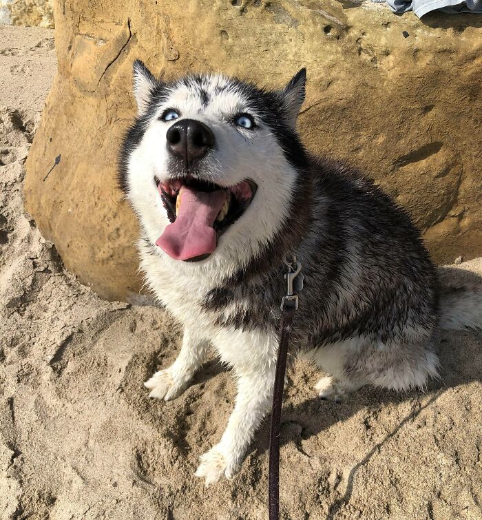 This Old Girl Loves The Beach