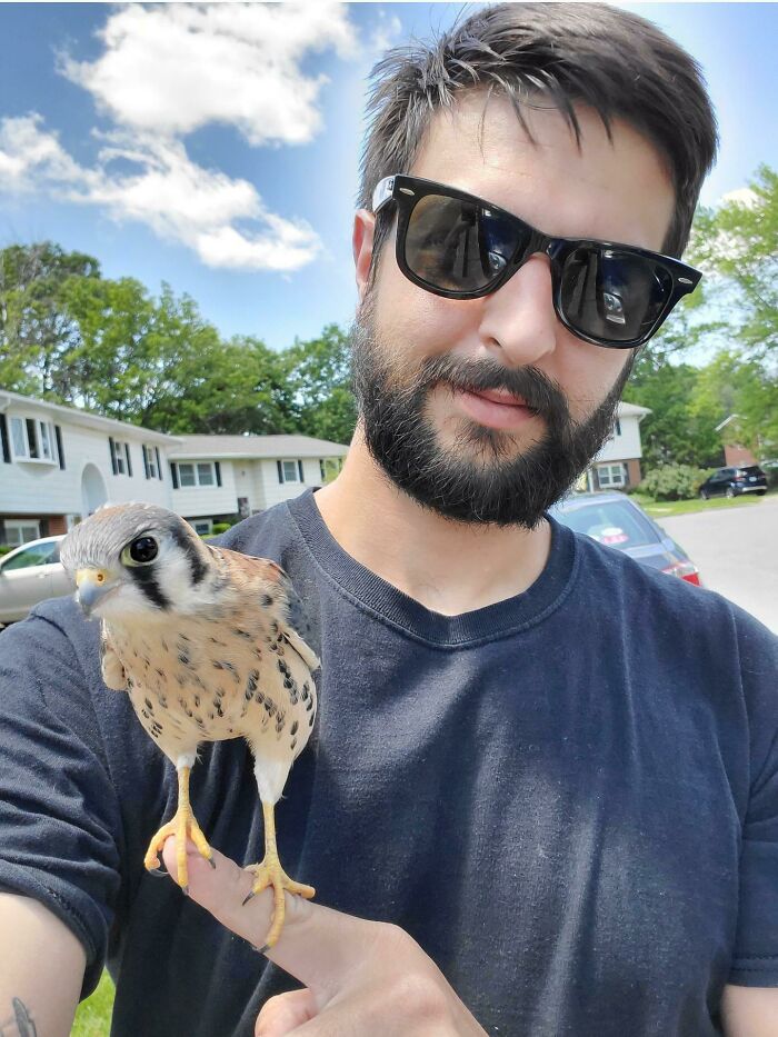 Just Found This Throwback Of When A Wild Falcon Decided To Come And Hang Out With Me For A While. Had No Idea This Thing Could Shred My Finger To Pieces At The Time