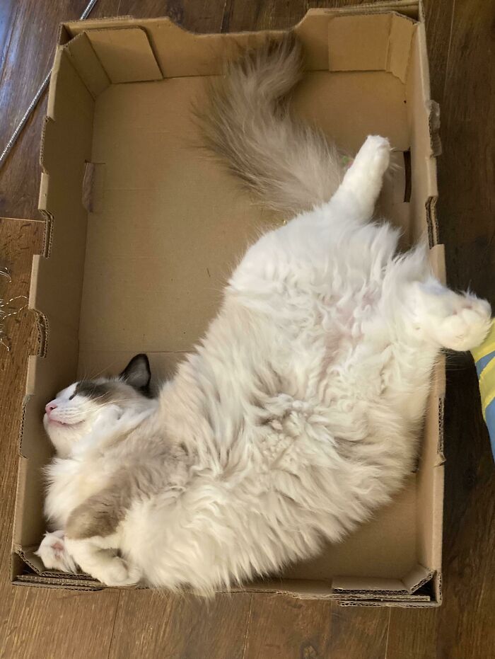 Caught Him Sleeping Funny