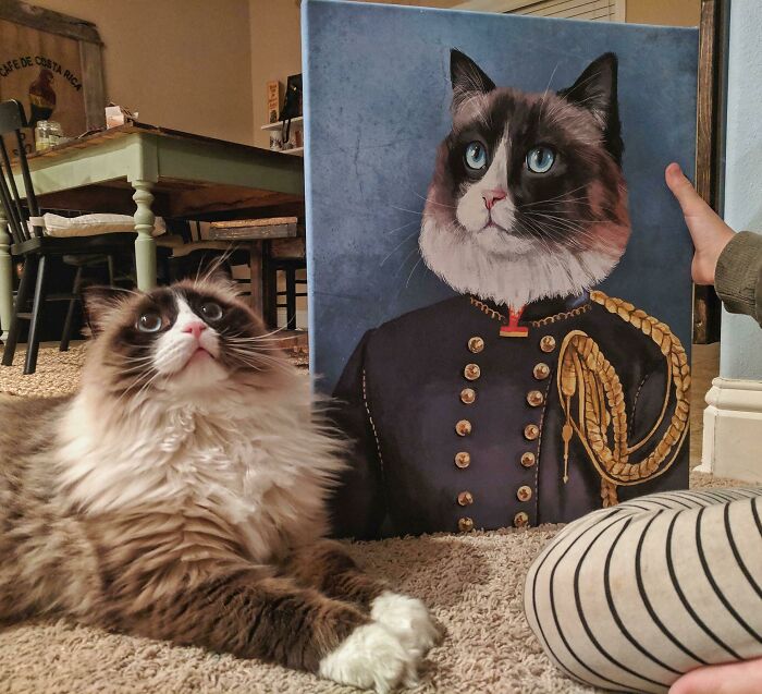 Commissioned This Artwork Of My Ragdoll, Hans