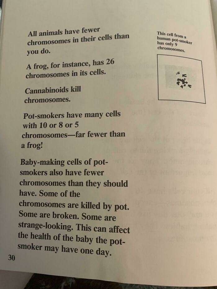 My Mom Found This Anti-Marijuana Book From The 1980s. Apparently All Animals Have Fewer Chromosomes Than Humans